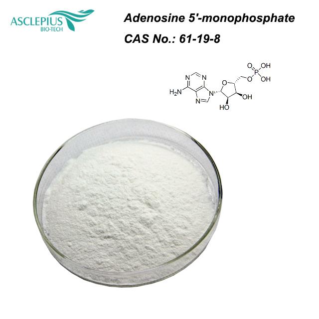 Adenosiin 5'-monofosfaadi pulber CAS 61-19-8 /AMP Nutritional Fortifier